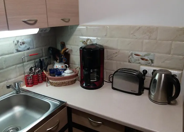 Mulgi Apartment Viljandi (Viljandimaa)